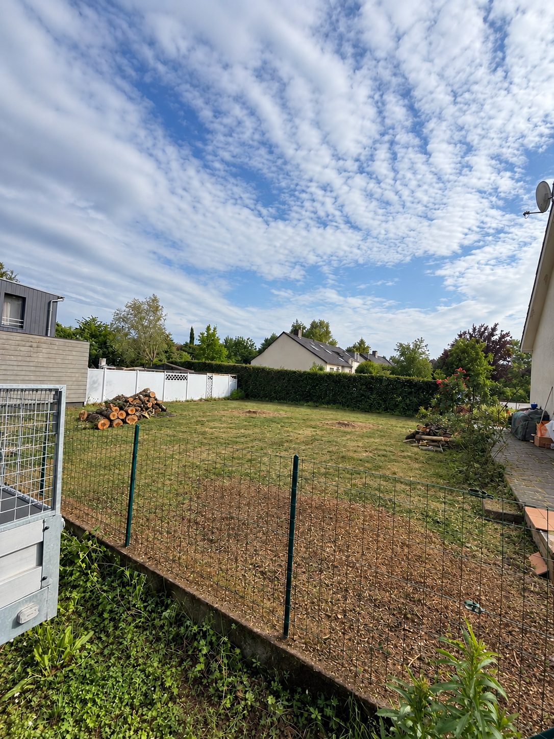 Terrain après abattage de l'arbre