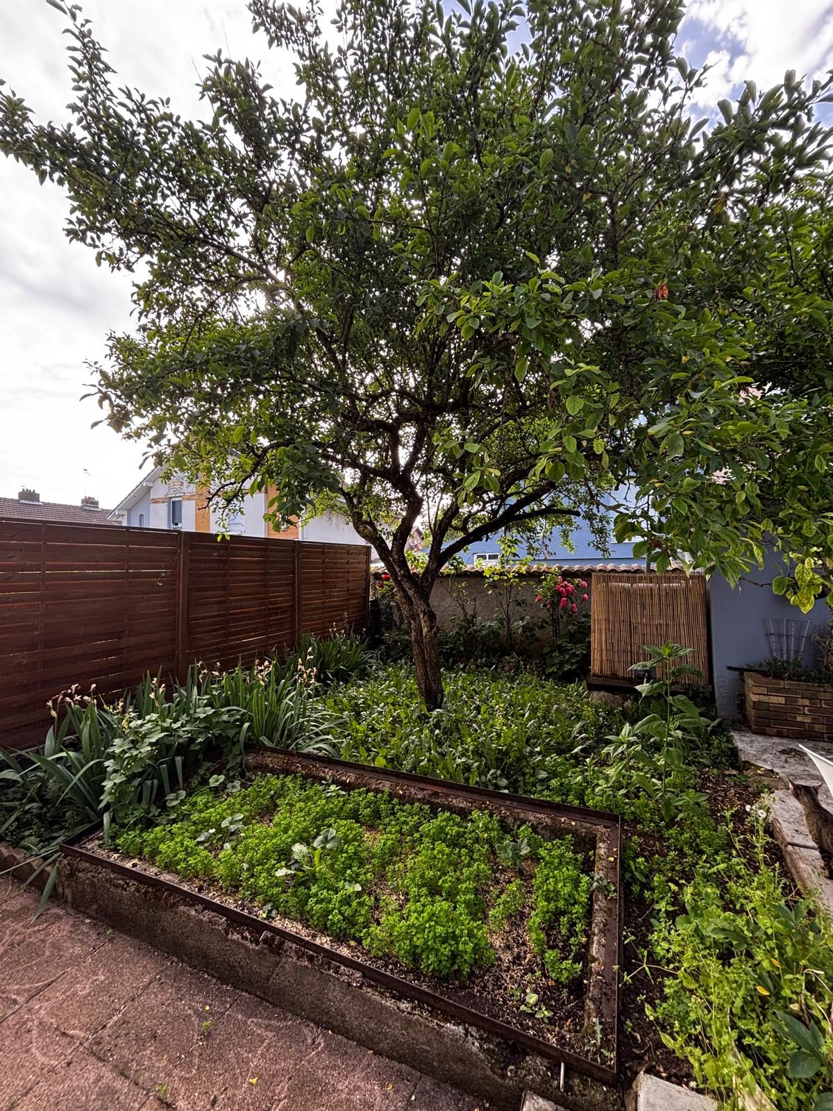 Jardin avant plantation de pelouse
