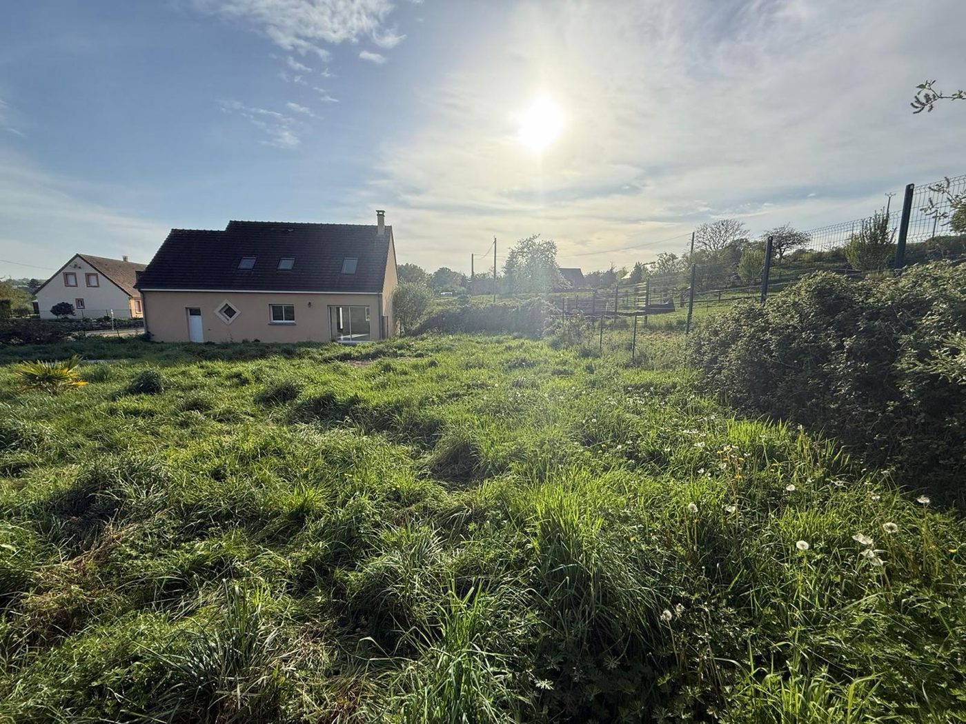 Terrain avant entretien